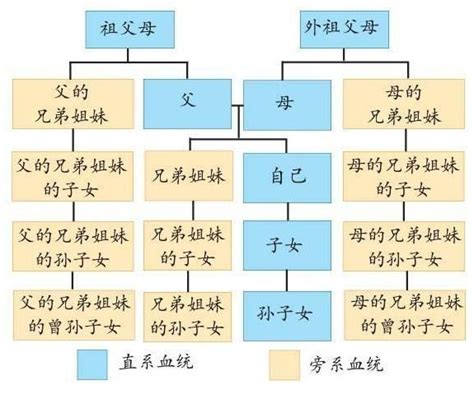 外孫女是直系血親嗎|直系親屬:法規,具體範圍,